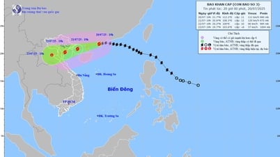 Thủ tướng: Ứng phó bão số 3 với tinh thần quyết liệt nhất