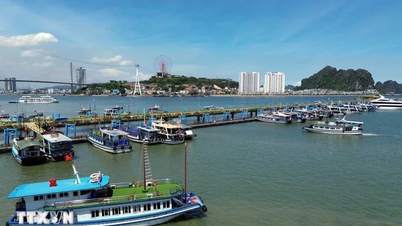 Đề nghị các địa phương kêu gọi 425 tàu thuyền ở vịnh Bắc Bộ vào nơi trú ẩn