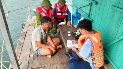 Quảng Ninh: Di dời hơn 7.500 người ở các khu nuôi trồng thủy sản lên bờ an toàn