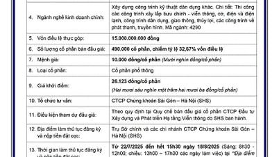 Thông báo bán đấu giá cổ phần của Tập đoàn VNPT tại Công ty CP Đầu tư xây dựng và Phát triển hạ tầng Viễn thông
