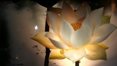 Bác sĩ, thầy thuốc ưu tú Nguyễn Kim Thu qua đời