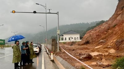 Cảnh báo lũ quét, sạt lở đất, sụt lún đất do mưa lũ ở Hải Phòng