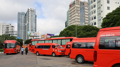 1.260 cán bộ, công chức, viên chức và người lao động từ Bình Dương và Bà Rịa - Vũng Tàu (cũ) về trung tâm TPHCM làm việc