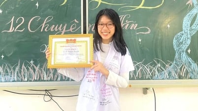 Nữ thủ khoa khối C Đà Nẵng chia sẻ bí kíp học môn văn 9,5 điểm