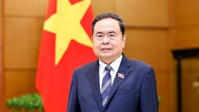 Fuerte compromiso con la paz, la justicia y la prosperidad para todos los pueblos, creando impulso para promover las relaciones de Vietnam con otros países.