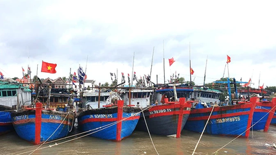 Khẩn trương kêu gọi tàu thuyền vào nơi trú ẩn an toàn