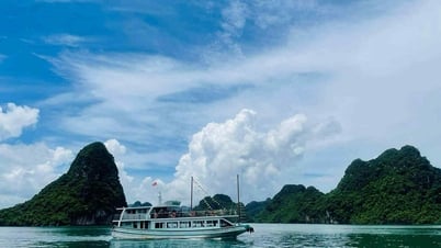 Cần chú ý gì để có chuyến du lịch bằng tàu thuyền an toàn trong mùa mưa bão?