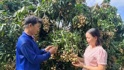 Tiếp thêm động lực cho hợp tác xã trên chặng đường phát triển mới