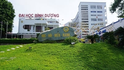 Điểm chuẩn Trường Đại học Bình Dương 2025