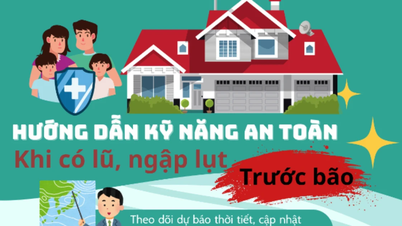 Cảnh báo cấp tốc: Bão Wipha đổ bộ, làm gì để an toàn khi có lũ và ngập lụt?