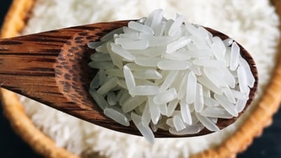 Gạo phát thải thấp: Tấm hộ chiếu xanh của nông nghiệp Việt Nam ra thế giới