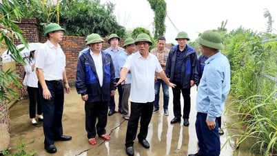 Chủ tịch HĐND thành phố Lê Văn Hiệu kiểm tra phòng chống bão tại phường Hồng An