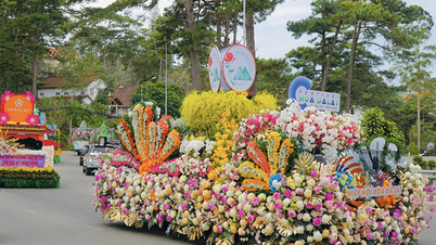 달랏 꽃 축제 2024: 놓칠 수 없는 12월 여행지