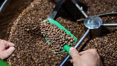 Giá cà phê hôm nay 21/7: Đang trong giai đoạn cân bằng thị trường