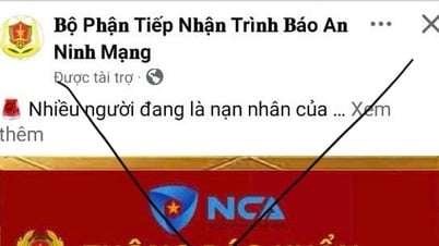 Xuất hiện fanpage giả mạo Hiệp hội An ninh mạng quốc gia để lừa đảo "kép"