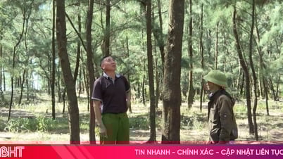 Quản lý rừng phòng hộ ven biển: Khó nhiều bề!