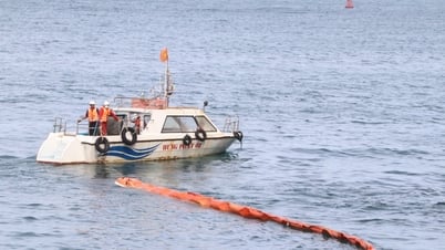 Теплоэлектростанция Винь Тан 4: успешно отработаны действия при трёх сценариях серьёзных экологических инцидентов