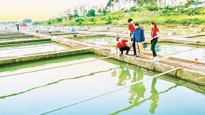 Bắc Ninh: Tiếp vốn cho khu vực kinh tế tư nhân