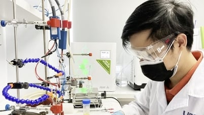 Hà Nội mở rộng cánh cửa thu hút người tài