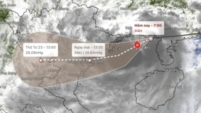 Ứng phó bão số 3, các bệnh viện có phương án sơ tán người bệnh