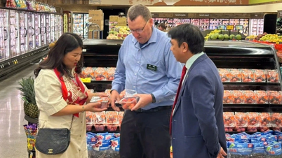 Quả vải Việt Nam lần đầu tiên xuất hiện tại hệ thống bán lẻ lớn nhất nước Mỹ