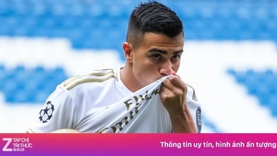 Real cắt hợp đồng với 'thảm họa Brazil'