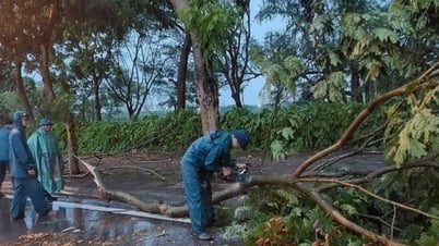 Các phường Phúc Lợi, Việt Hưng, Bồ Đề, Long Biên sẵn sàng ứng phó bão Wipha
