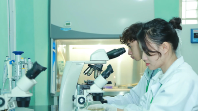 Học viện Nông nghiệp Việt Nam công bố mức điểm nhận xét tuyển đại học chính quy