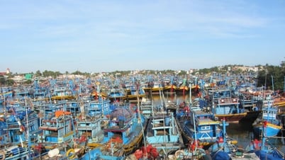 Phường La Gi: Chủ động ứng phó với Bão số 3
