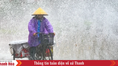 Dự báo lượng mưa tại các khu vực trên địa bàn tỉnh đến ngày 23/7