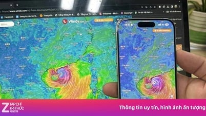 Đây là cách theo dõi từng diễn biến mới nhất của bão Wipha