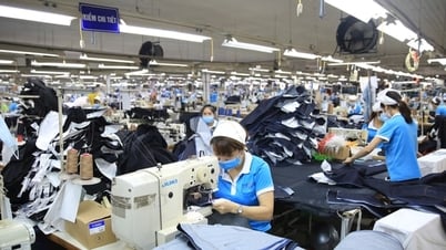 Tin tức đặc biệt trên báo in Hànộimới ngày 21-7-2025