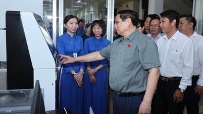 Thủ tướng Chính phủ chỉ đạo 3 vấn đề lớn của vùng đồng bằng sông Cửu Long
