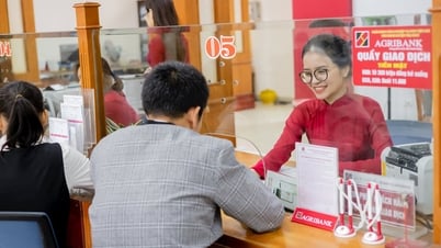 تنفيذ مشروع مليون هكتار من الأرز عالي الجودة: يسعى أجري بنك إلى تحقيق مهمته