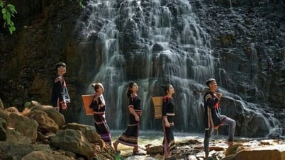 Даклак: открытие туристического маршрута от синего моря до великого леса