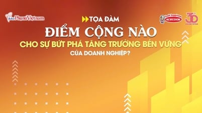 Điểm cộng nào cho sự bứt phá tăng trưởng bền vững của doanh nghiệp?