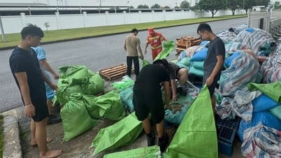 Công ty Iriso Việt Nam cho công nhân nghỉ làm để tránh bão số 3