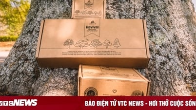 CORSAIR trên hành trình xanh: Cam kết tương lai bền vững, giảm dấu chân carbon