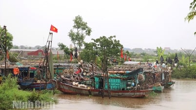 Ninh Bình: 100% tàu thuyền đã về nơi neo đậu