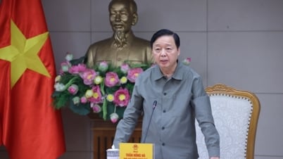 Bão số 3 (bão WIPHA) rất mạnh, di chuyển nhanh phạm vi, cường độ ảnh hưởng rất rộng và nguy hiểm