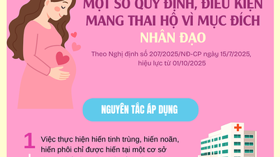 [Infographic] Một số quy định, điều kiện mang thai hộ vì mục đích nhân đạo
