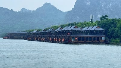 Ninh Bình tạm dừng đón khách du lịch bằng phương tiện đường thuỷ nội địa