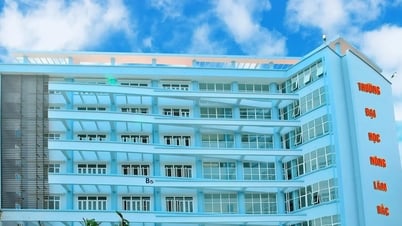 Điểm chuẩn Trường Đại học Nông Lâm Bắc Giang 2025