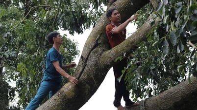 Sơn Mỹ: Thăm hỏi, hỗ trợ người dân bị thiệt hại do ảnh hưởng bão số 3