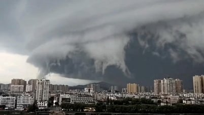 Bão Wipha tàn phá Trung Quốc: Giao thông tê liệt, kinh tế thiệt hại nặng nề