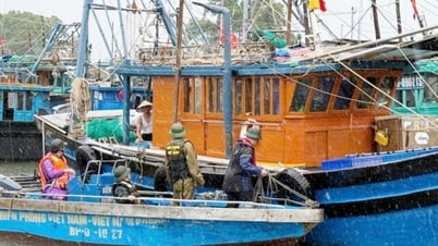 Biên phòng Trà Cổ hoàn tất công tác kêu gọi tàu thuyền tránh trú bão Wipha