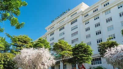 Điểm chuẩn Trường Đại học Đông Á 2025