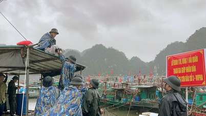 Ban Bí thư yêu cầu không được chủ quan, tăng cường kiểm tra, ứng phó với bão số 3