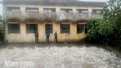 Ninh Bình: Bão số 3 gây ngập hơn 74 nghìn ha lúa mùa