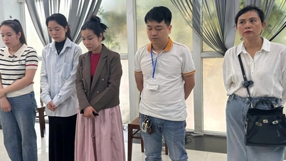 Đà Nẵng siết hoạt động của cơ sở khám bệnh, chữa bệnh sau vụ "bác sĩ rởm"